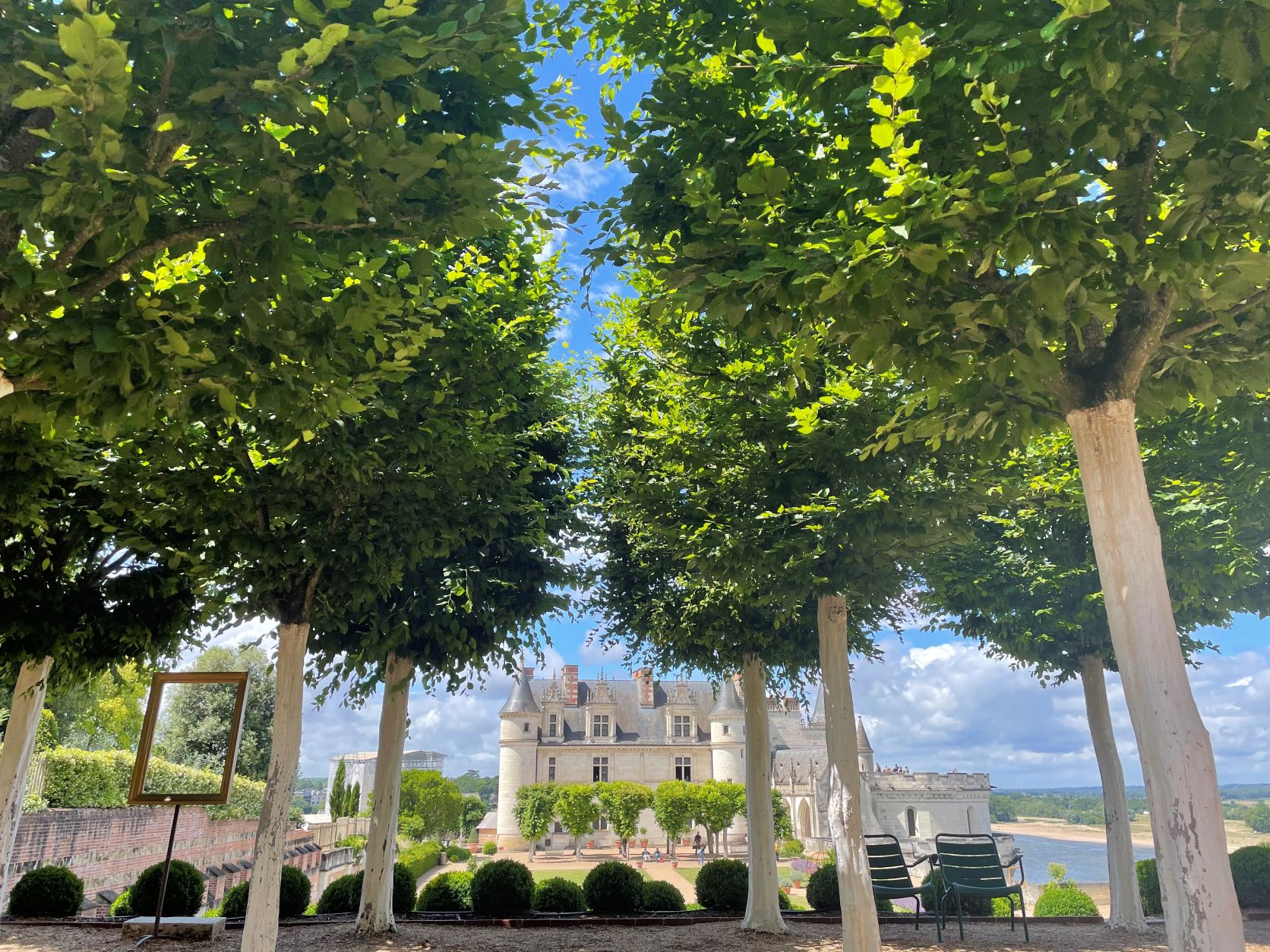 Vue du château Royal d'Amboise depuis le parc