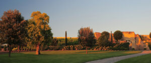 Les jardins du château d'Amboise au petit matin